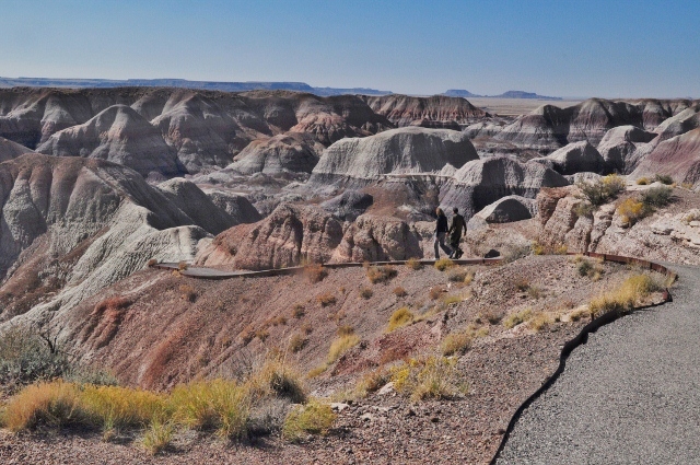 The Blue Mesa Trail - the path in